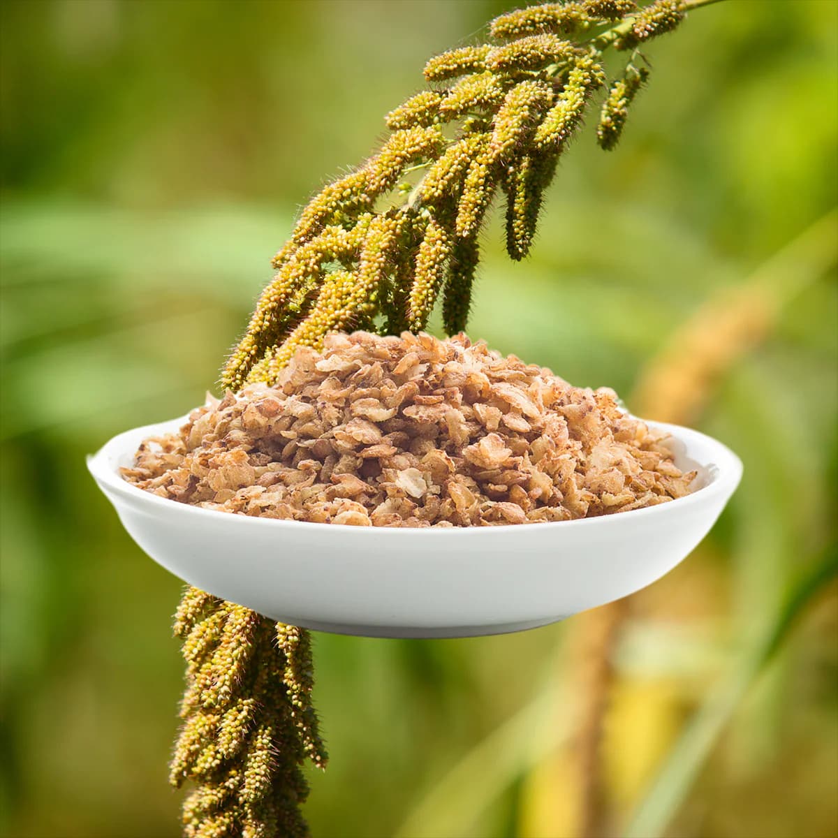 Browntop Millet Flakes